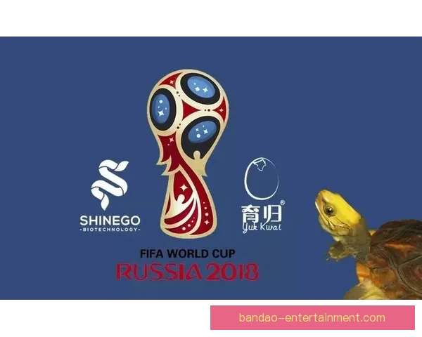 世界杯精彩竞猜平台尽享赛场激情赢取丰厚奖励体验